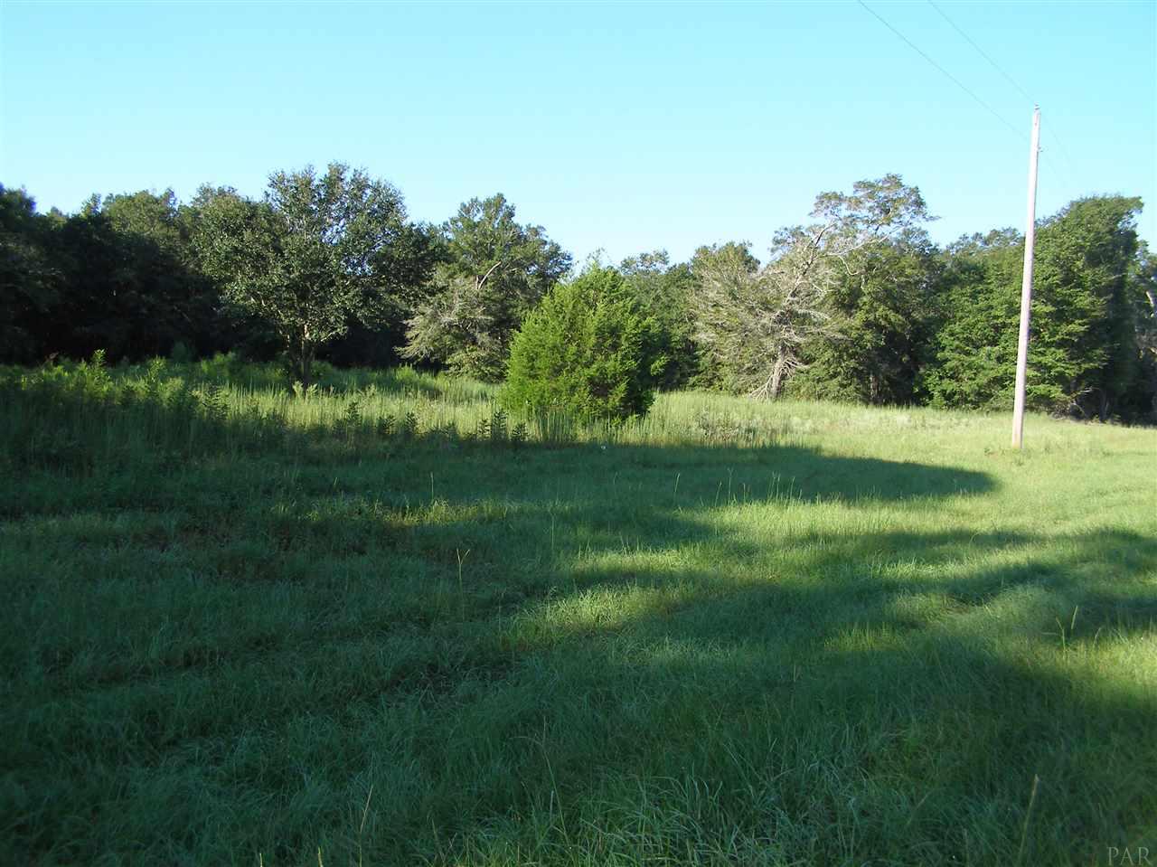 Oglesby Road Milton, FL 32570 - Photo 3 of 9 Gallery Image 3