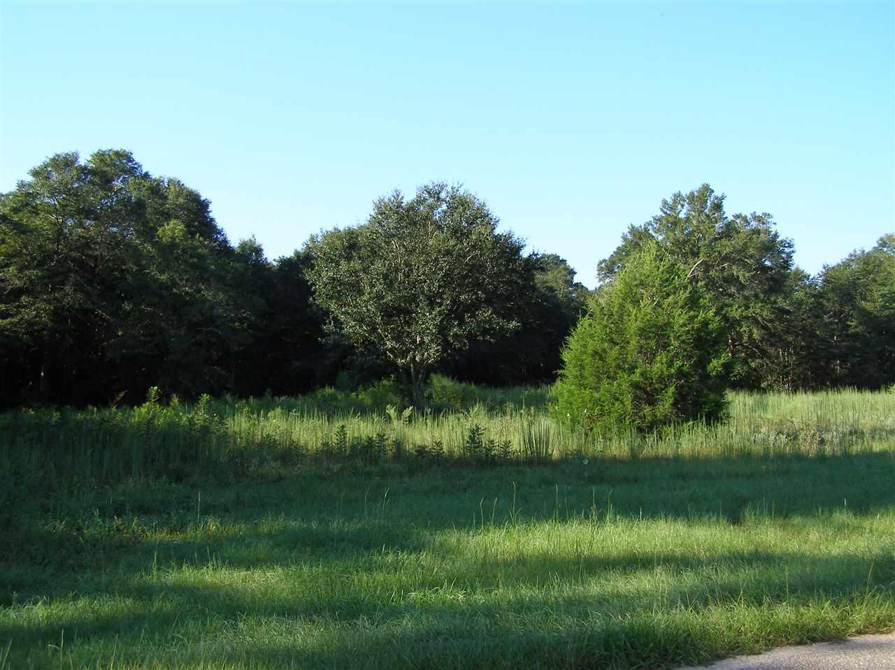 Oglesby Road Milton, FL 32570 - Photo 6 of 9 Gallery Image 6