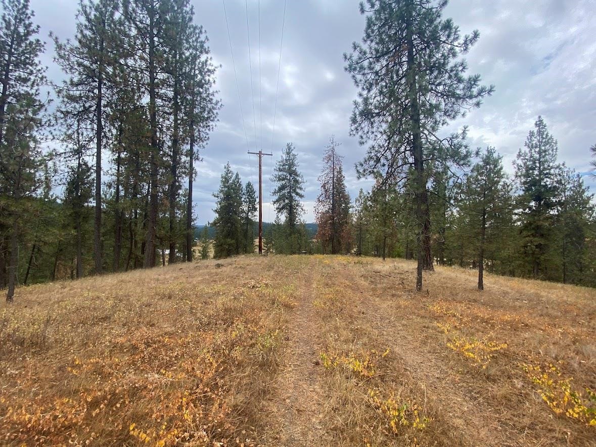 14-xxx East Cooper Road Mead, WA 99021 - Photo 16 of 21