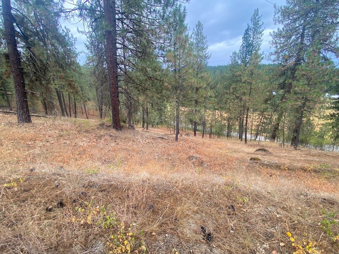 14-xxx East Cooper Road Mead, WA 99021 - Photo 17 of 21