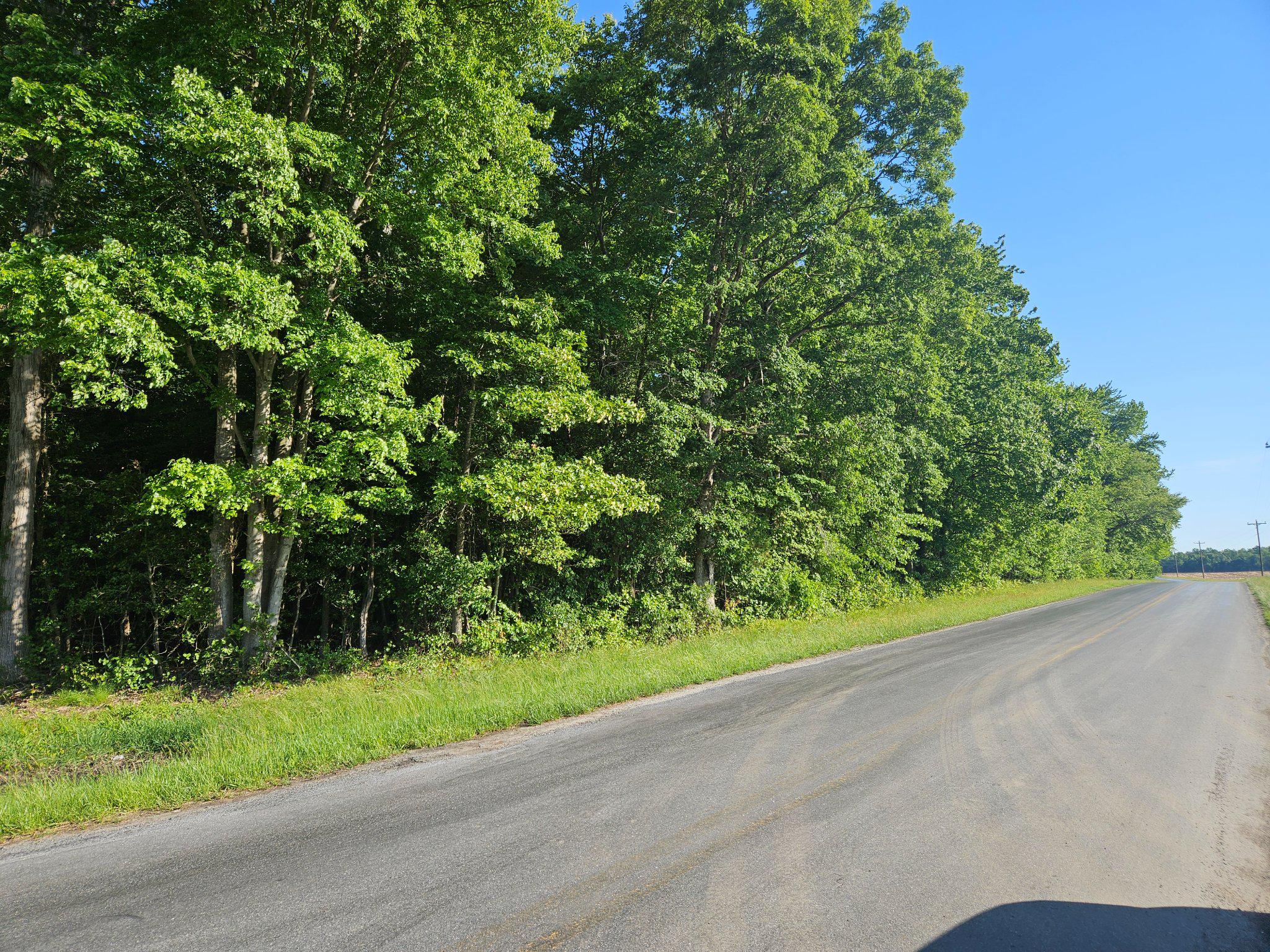 Lot 4 River Road Greensboro, MD 21639 - Photo 7 of 8 Lots of road frontage!
