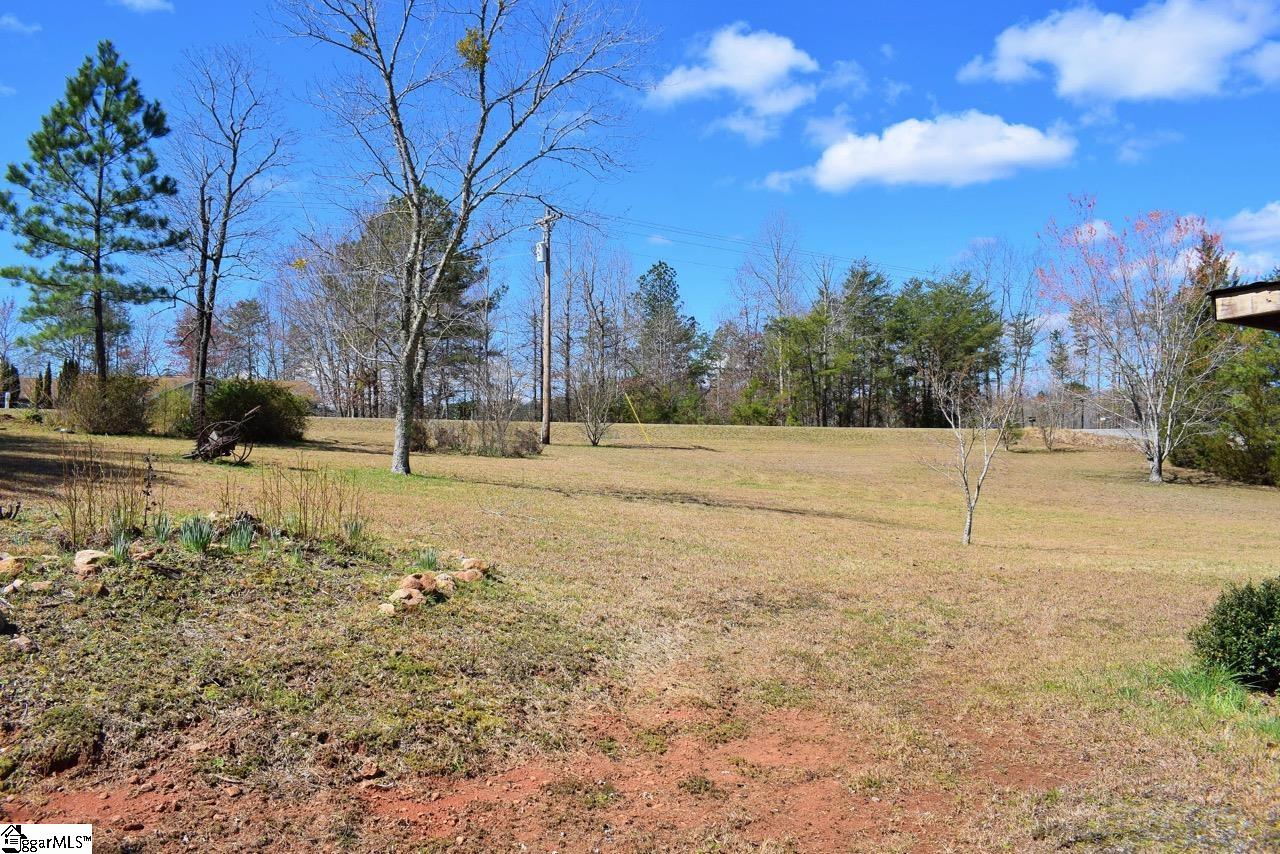 1293 Little Mountain Road Columbus, NC 28722 - Photo 25 of 36 Gallery Image 25
