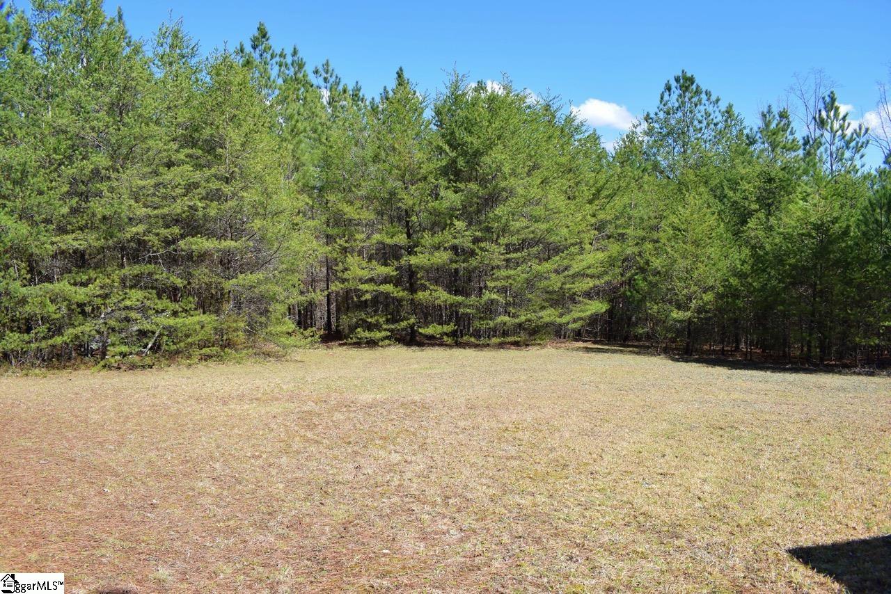 1293 Little Mountain Road Columbus, NC 28722 - Photo 26 of 36 Gallery Image 26