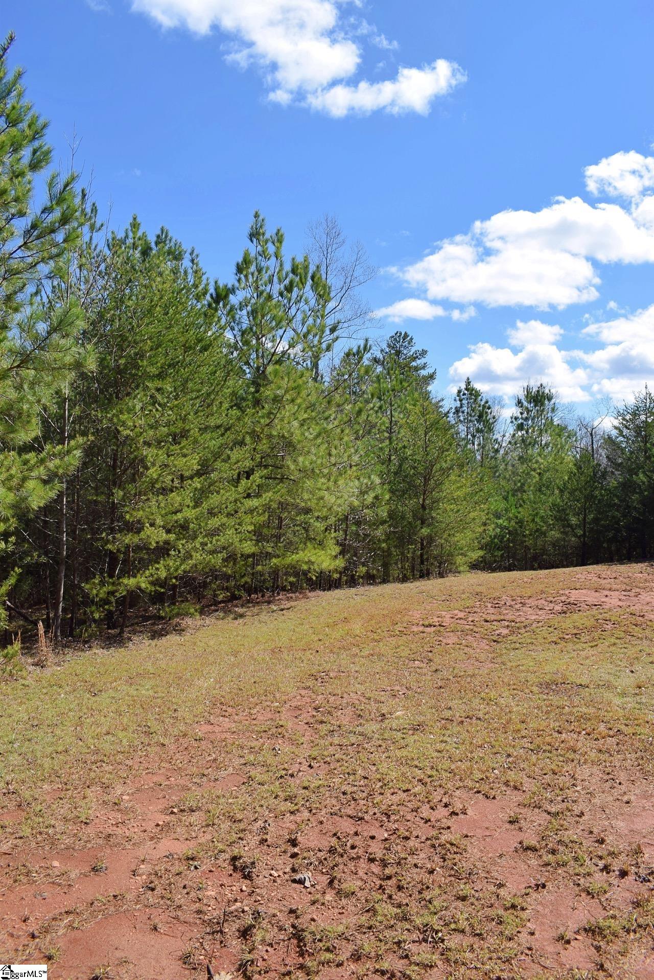 1293 Little Mountain Road Columbus, NC 28722 - Photo 28 of 36 Gallery Image 28