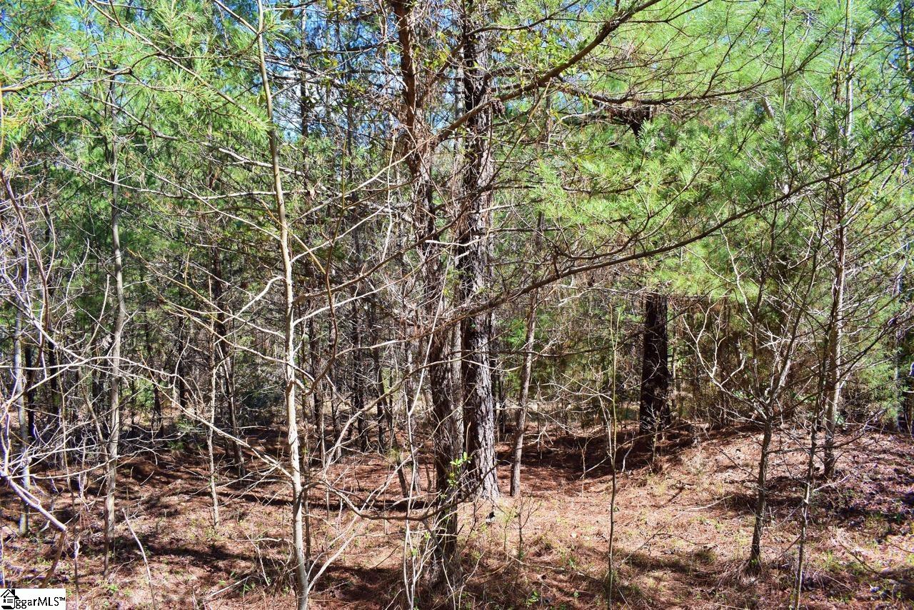 1293 Little Mountain Road Columbus, NC 28722 - Photo 29 of 36 Gallery Image 29
