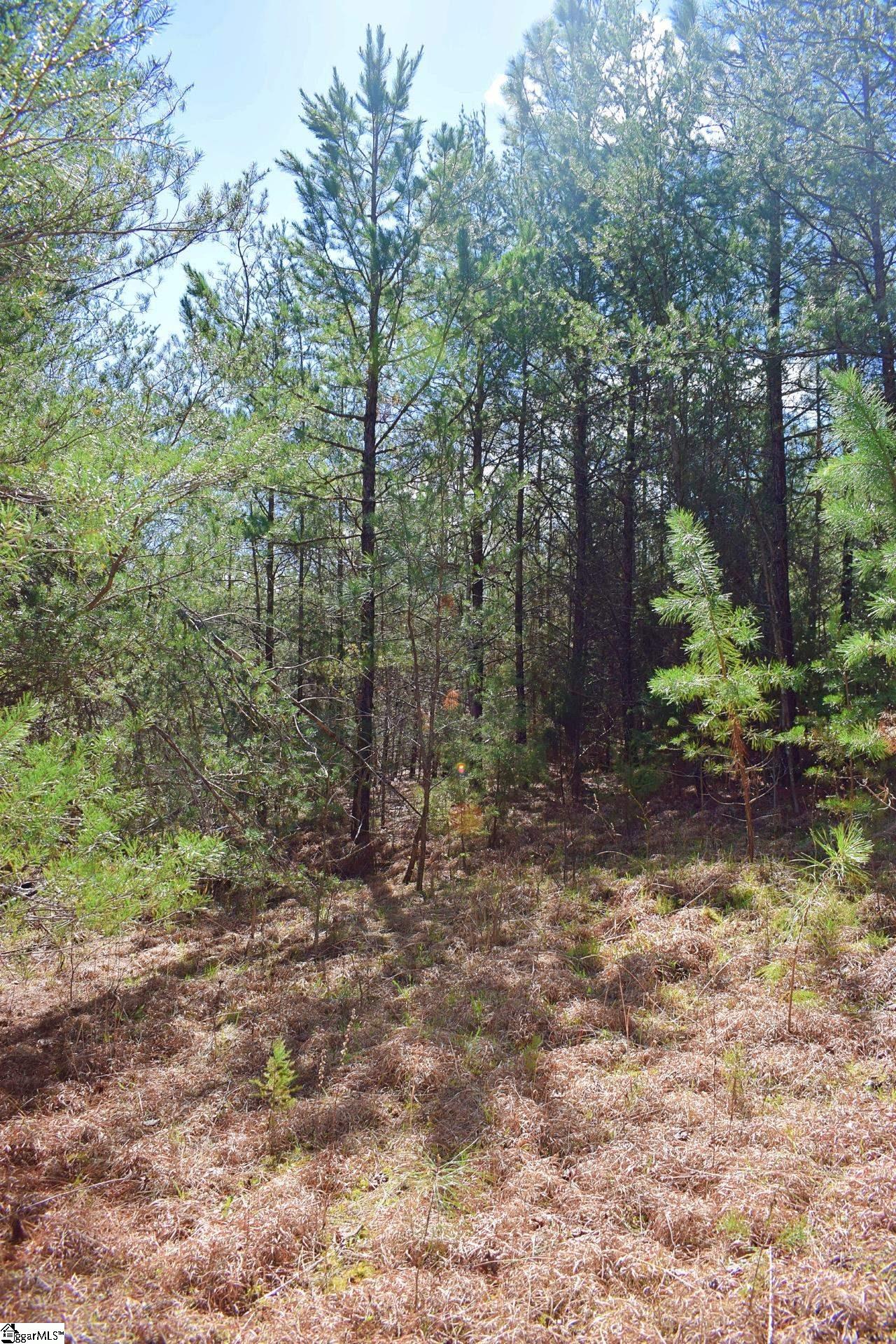 1293 Little Mountain Road Columbus, NC 28722 - Photo 30 of 36 Gallery Image 30