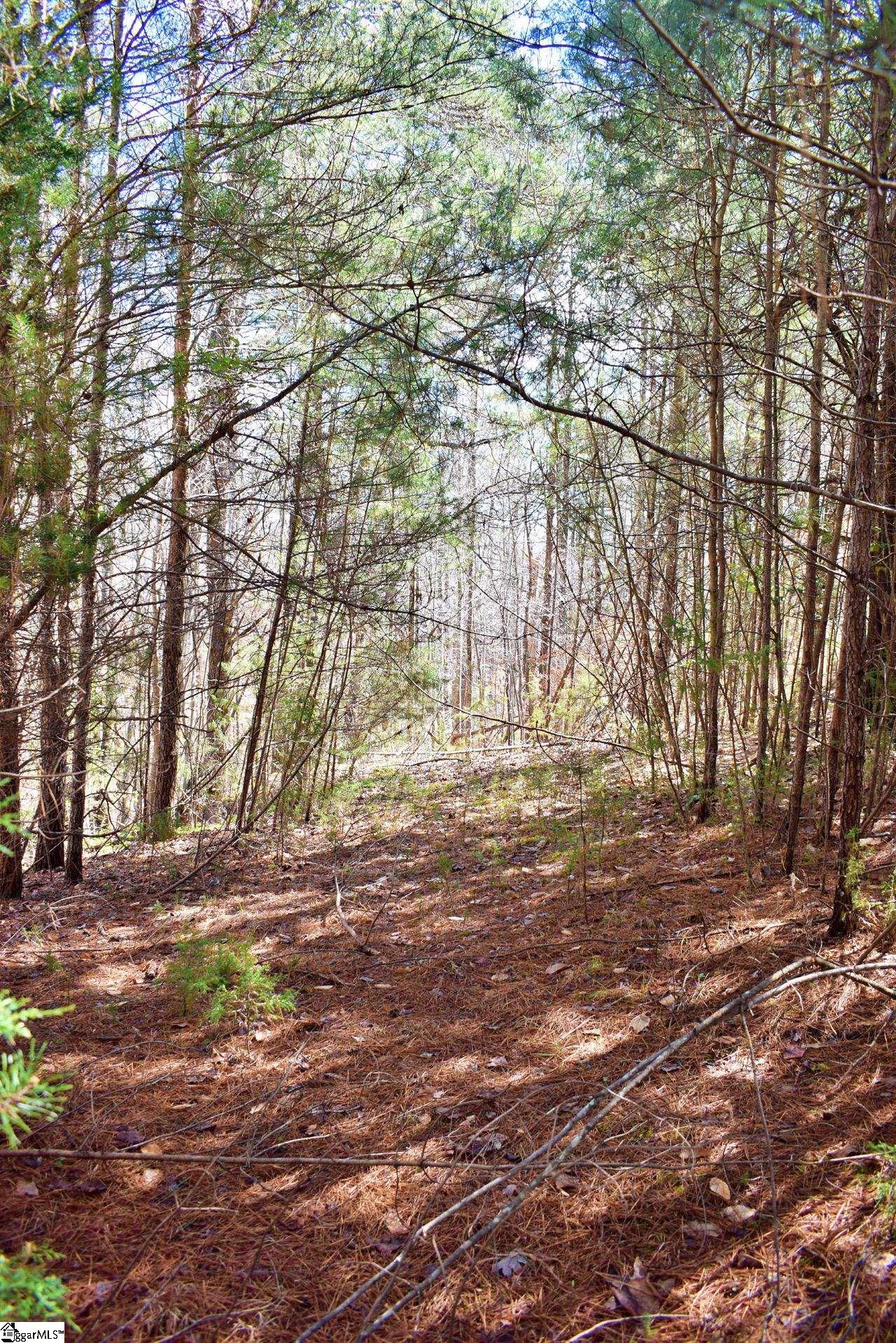 1293 Little Mountain Road Columbus, NC 28722 - Photo 31 of 36 Gallery Image 31