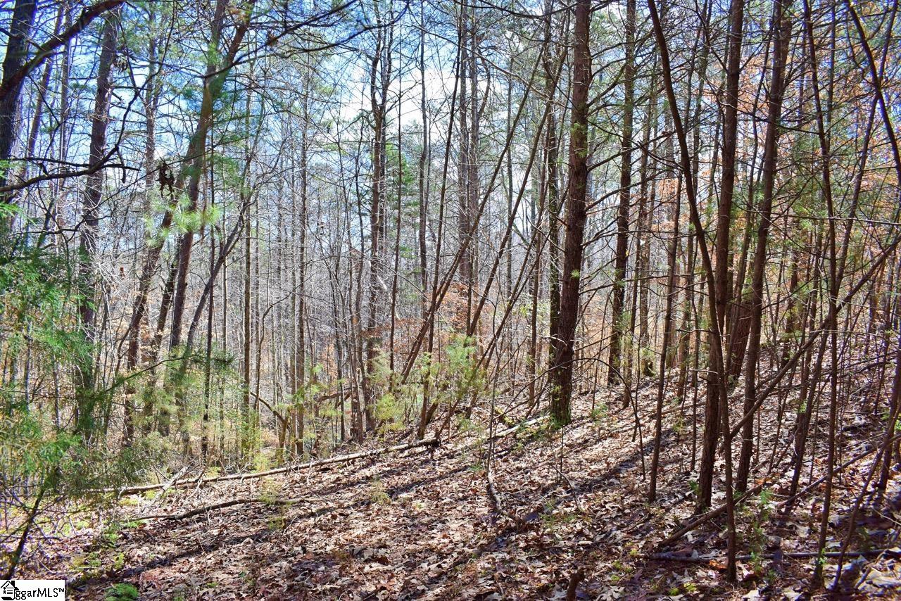 1293 Little Mountain Road Columbus, NC 28722 - Photo 32 of 36 Gallery Image 32