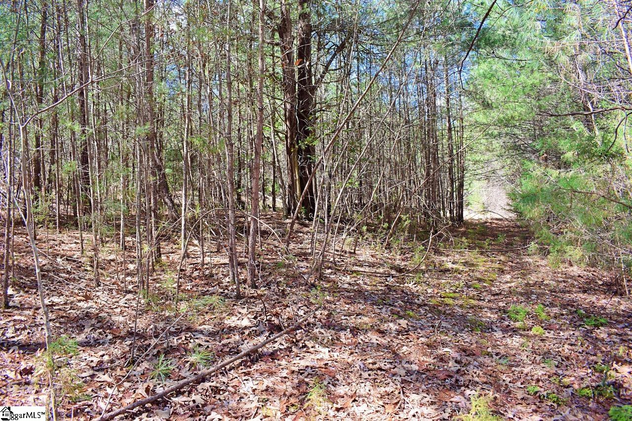 1293 Little Mountain Road Columbus, NC 28722 - Photo 33 of 36 Gallery Image 33