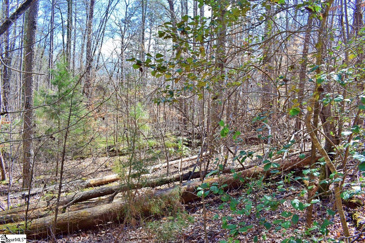 1293 Little Mountain Road Columbus, NC 28722 - Photo 34 of 36 Gallery Image 34