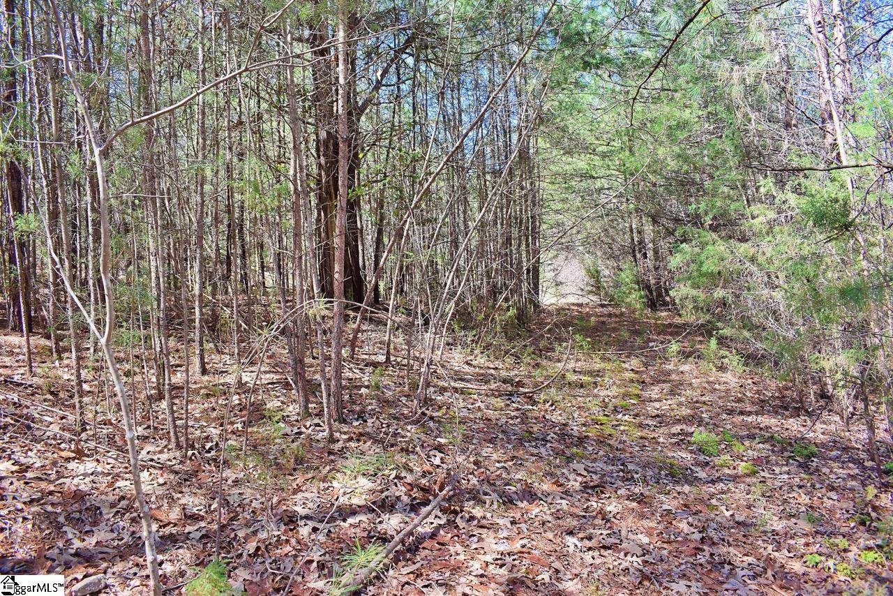 1293 Little Mountain Road Columbus, NC 28722 - Photo 35 of 36 Gallery Image 35