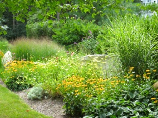 35 Lewis Farm Road Duxbury, MA 02332 - Photo 22 of 29 Gallery Image 22