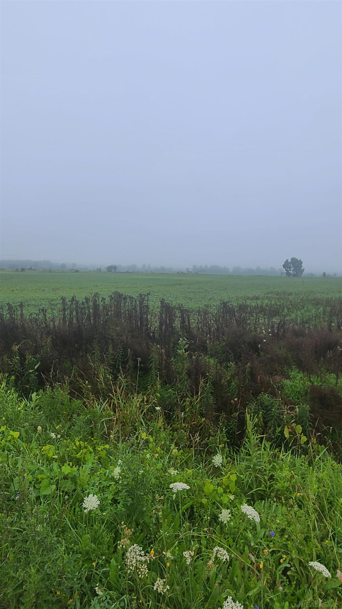 Tbd Marlette Road Applegate, MI 48401 - Photo 3 of 4 50117902-2.JPG