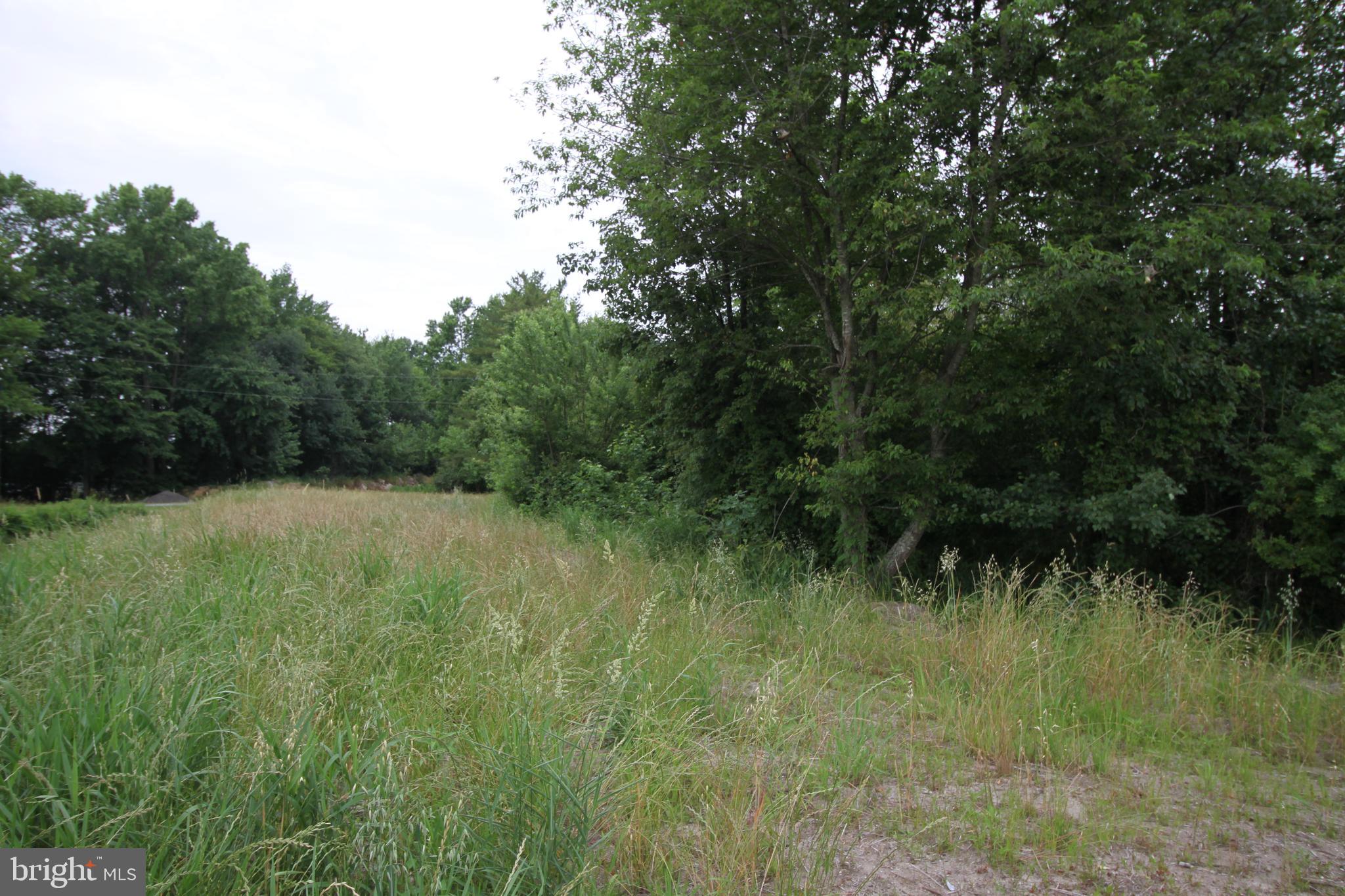 5120 Halltown Road Hartly, DE 19953 - Photo 4 of 7
