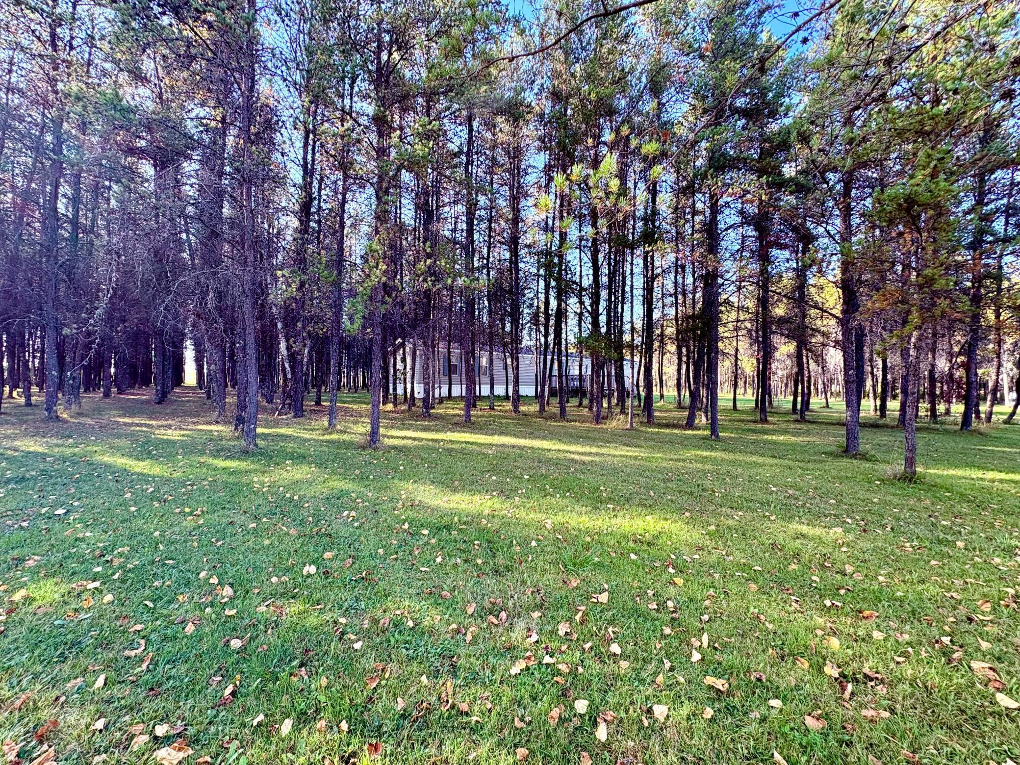 541 Wilderness Avenue Williams, MN 56686 - Photo 20 of 45