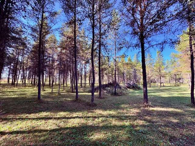 $145,000 | 541 Wilderness Avenue, Williams, MN 56686