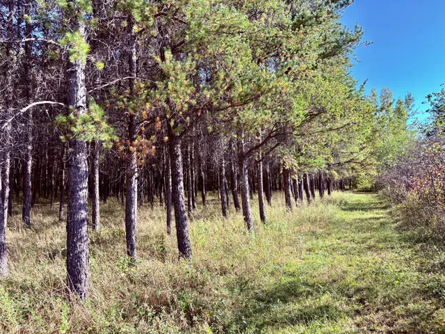 $145,000 | 541 Wilderness Avenue, Williams, MN 56686