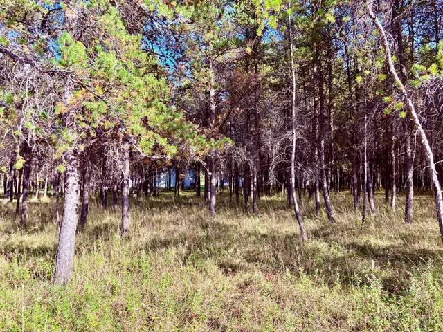 $145,000 | 541 Wilderness Avenue, Williams, MN 56686