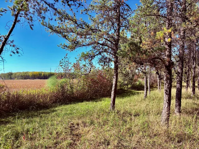 $145,000 | 541 Wilderness Avenue, Williams, MN 56686