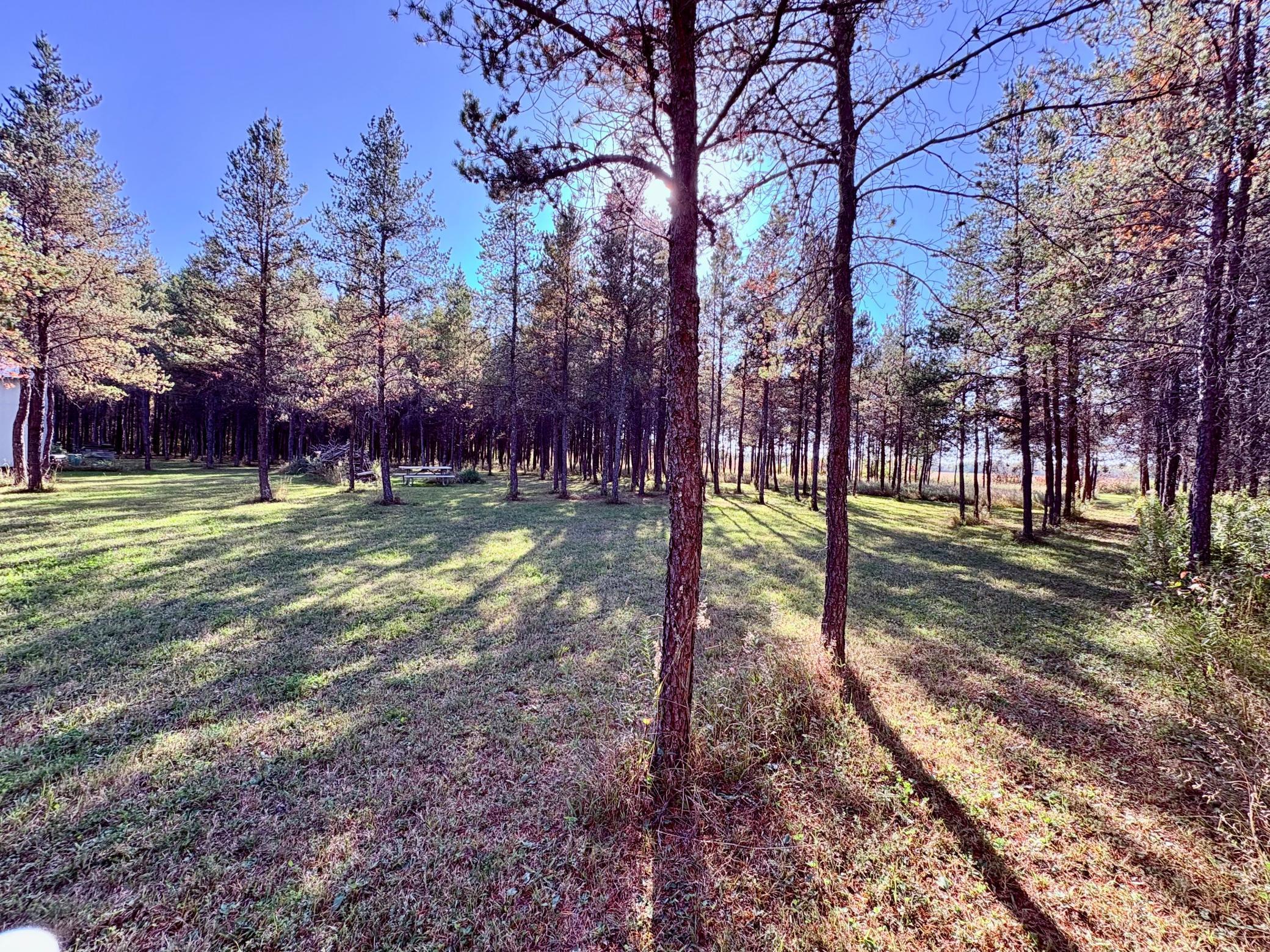 541 Wilderness Avenue Williams, MN 56686 - Photo 26 of 45