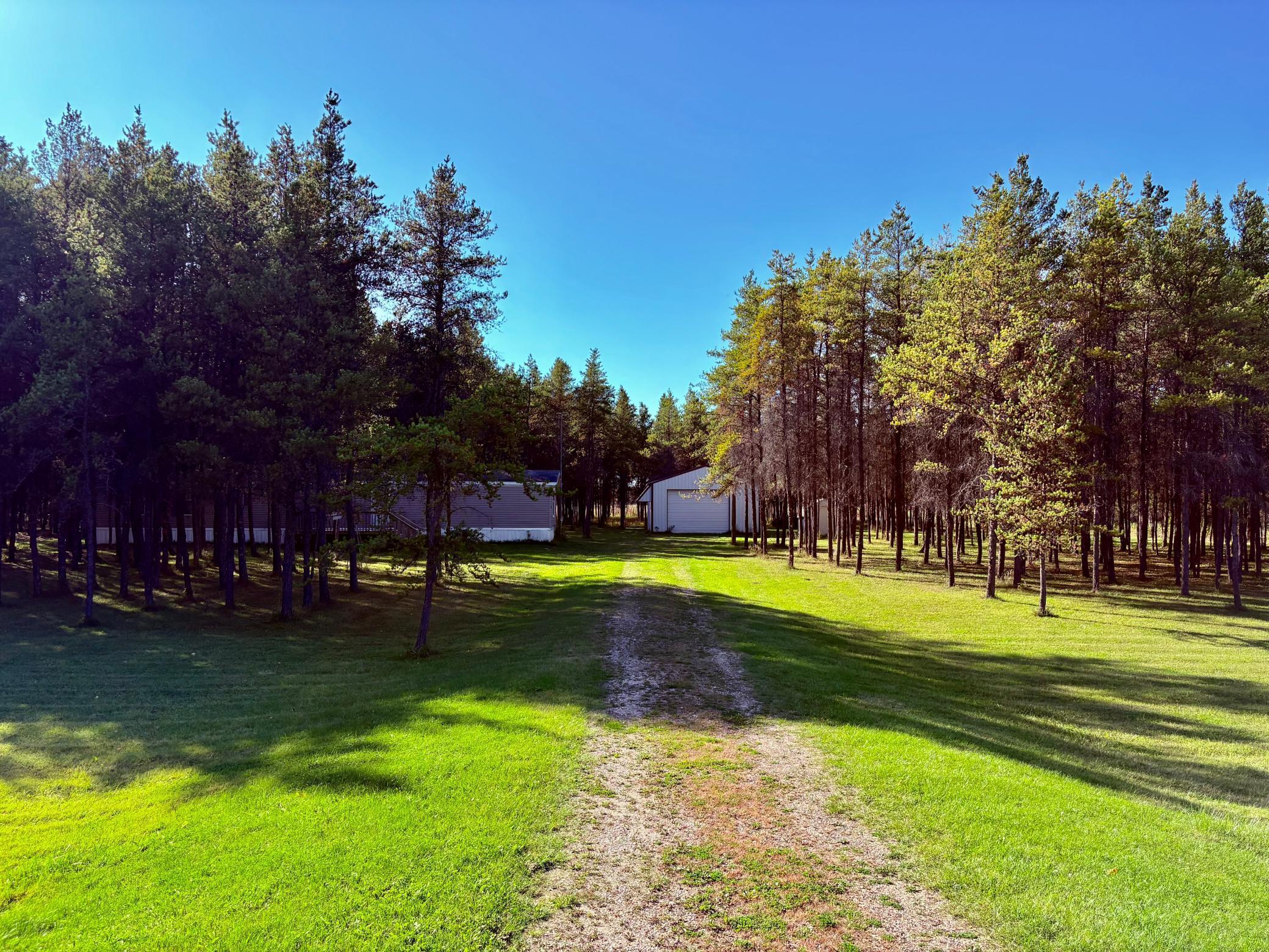 541 Wilderness Avenue Williams, MN 56686 - Photo 3 of 45