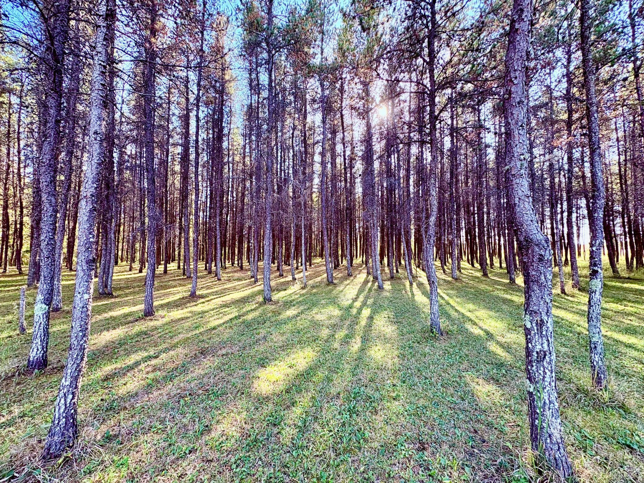 541 Wilderness Avenue Williams, MN 56686 - Photo 31 of 45