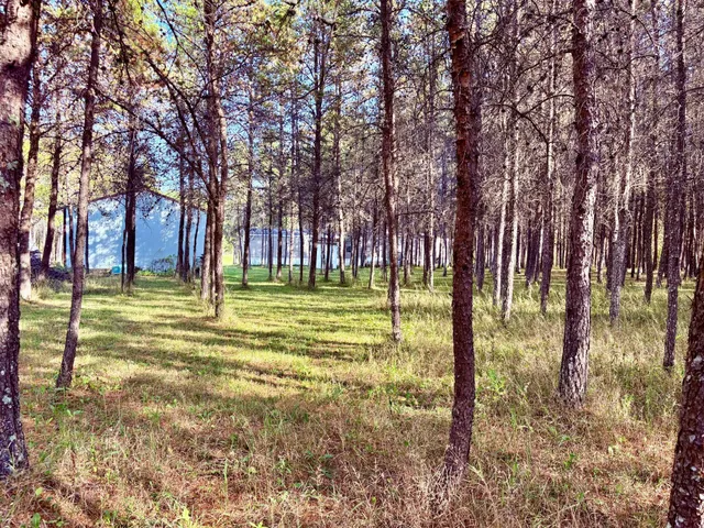 $145,000 | 541 Wilderness Avenue, Williams, MN 56686