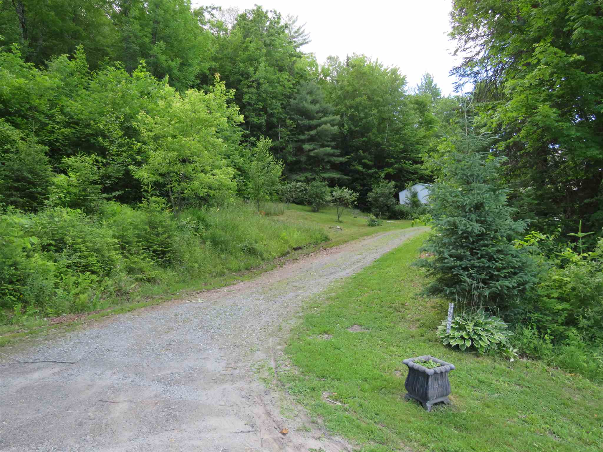 556 Camp Munn Road Corinth, VT 05033 - Photo 3 of 11