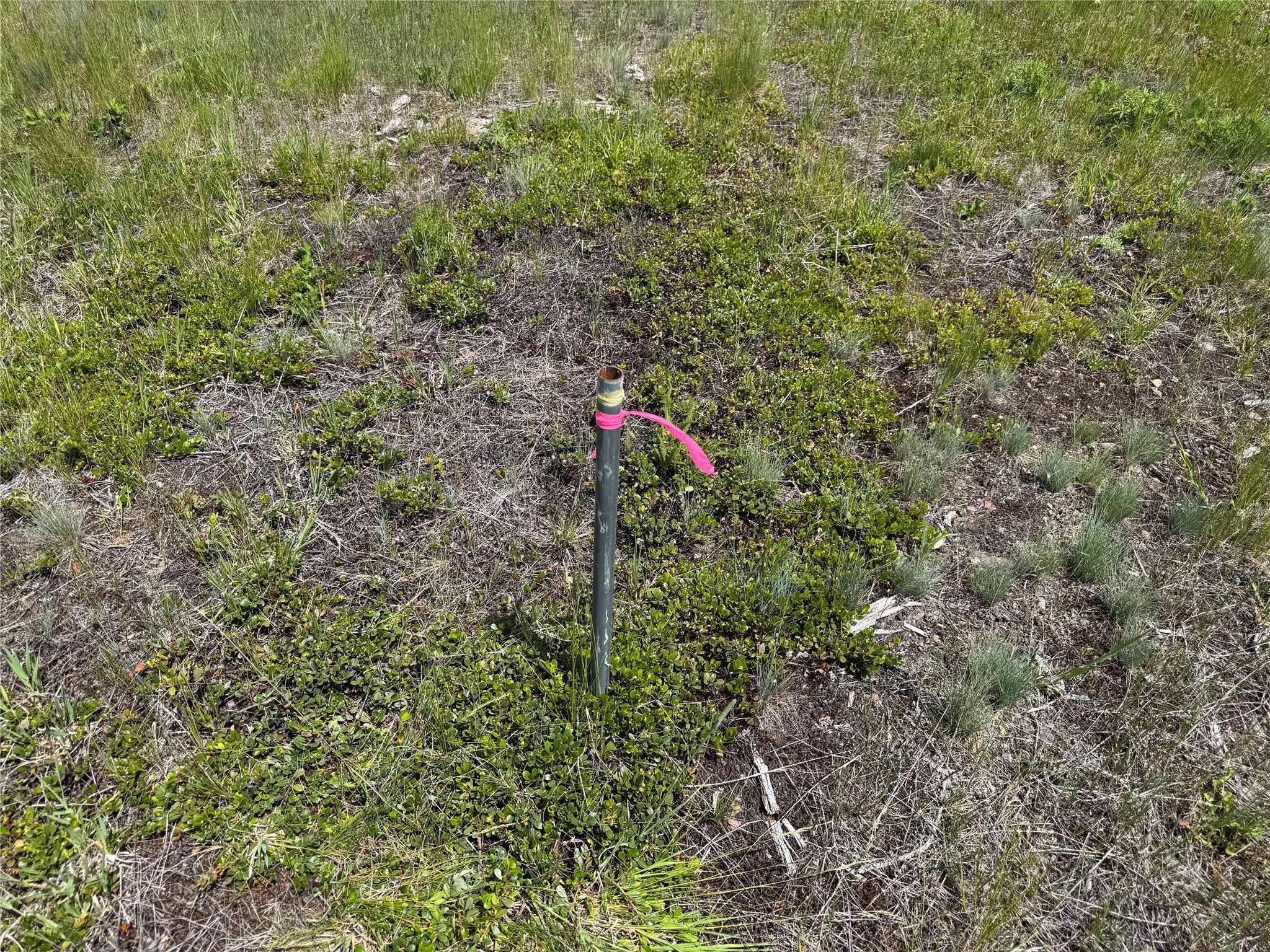 375 Remicks Road Condon, MT 59826 - Photo 14 of 40 Gallery Image 14
