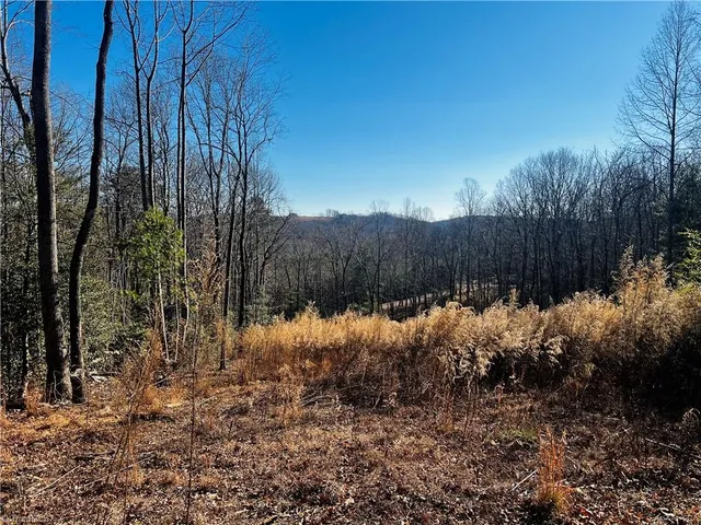 $38,500 | Tbd Holly Springs Road, Mount Airy, NC 27030