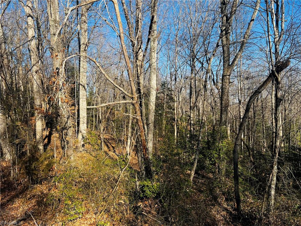 Tbd Holly Springs Road Mount Airy, NC 27030 - Photo 2 of 5