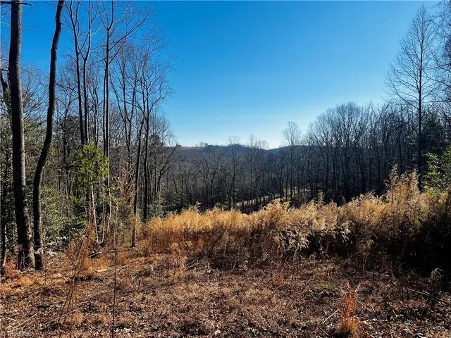 $38,500 | Tbd Holly Springs Road, Mount Airy, NC 27030