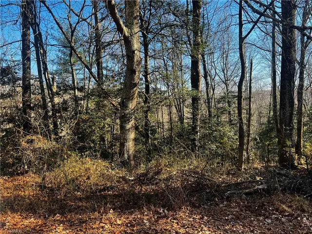 $38,500 | Tbd Holly Springs Road, Mount Airy, NC 27030