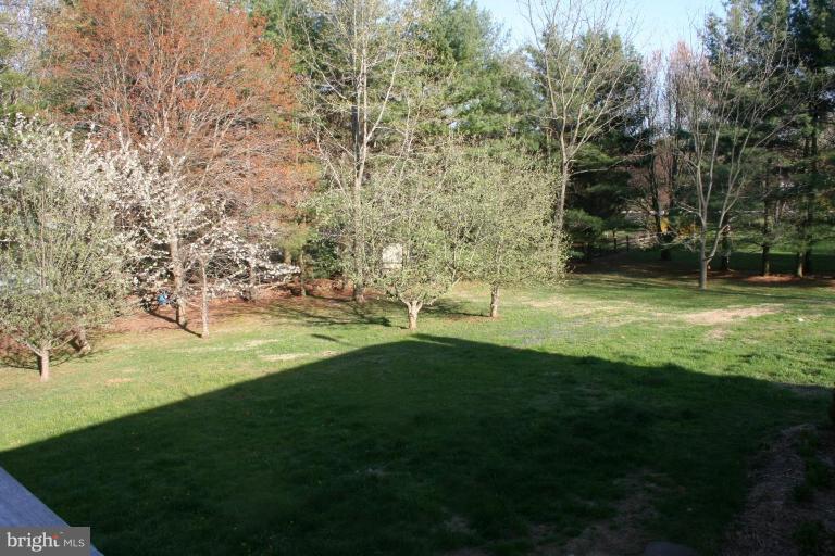 6620 Lewis Road Baldwin, MD 21013 - Photo 13 of 15 a view of yard with swimming pool and green space