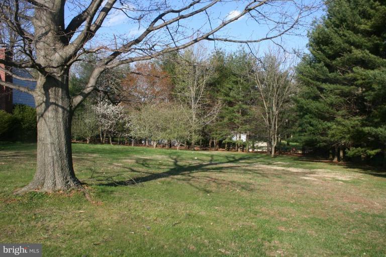 6620 Lewis Road Baldwin, MD 21013 - Photo 15 of 15 a view of a field with large trees