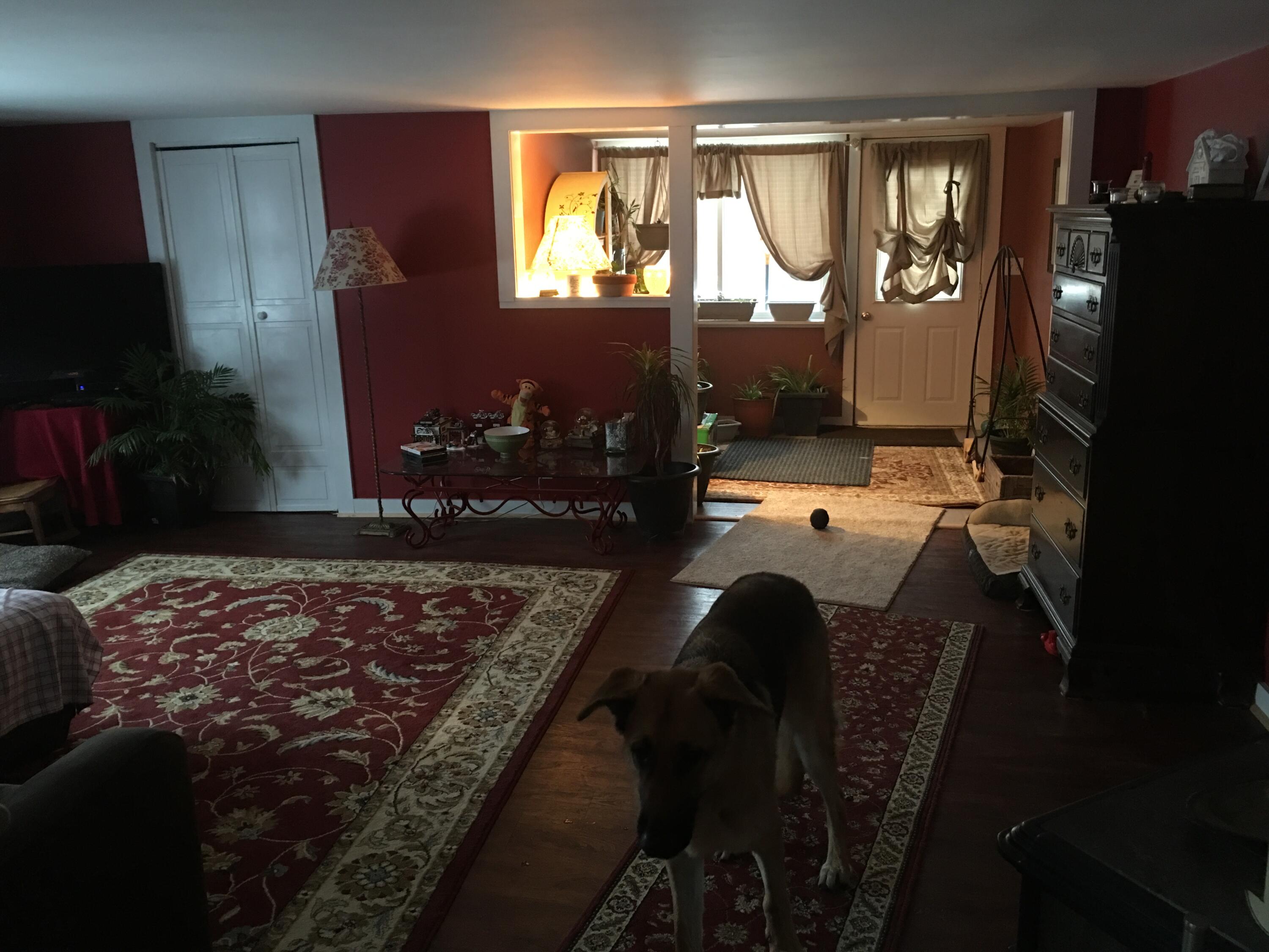 15 Cox Hill Road, Unit 9 Liberty, ME 04949 - Photo 10 of 13 IMG_1095