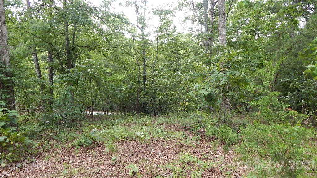 342 Sasafras Ridge, Unit 100 Rutherfordton, NC 28139 - Photo 1 of 4 a view of outdoor space and green space