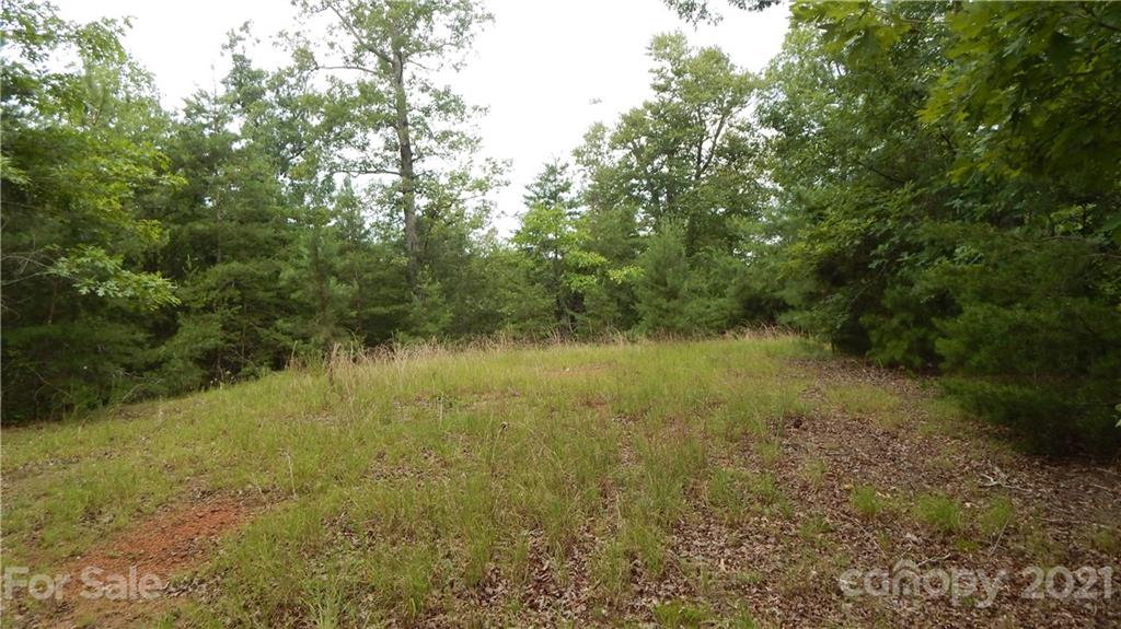 342 Sasafras Ridge, Unit 100 Rutherfordton, NC 28139 - Photo 2 of 4 a view of a lake with a yard