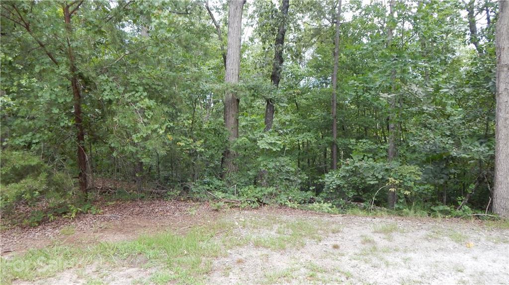 342 Sasafras Ridge, Unit 100 Rutherfordton, NC 28139 - Photo 3 of 4 a view of a forest with trees in the background