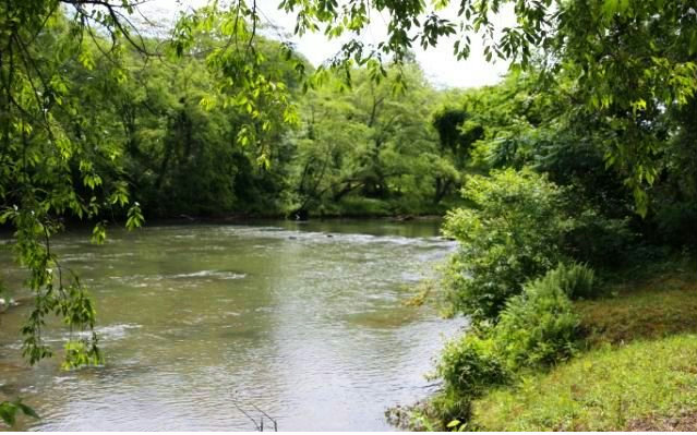 Lot26 Toccoa Preserve Lane Blue Ridge, GA 30513 - Photo 1 of 1 Main View