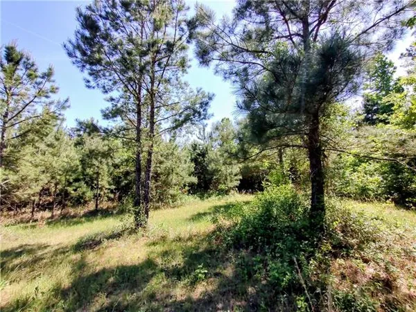 $134,000 | Tbd Posey Road, Natchitoches, LA 71457
