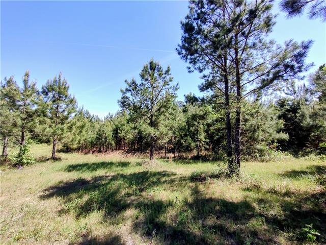 Tbd Posey Road Natchitoches, LA 71457 - Photo 2 of 4