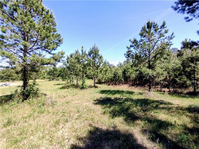 Tbd Posey Road Natchitoches, LA 71457 - Photo 3 of 4