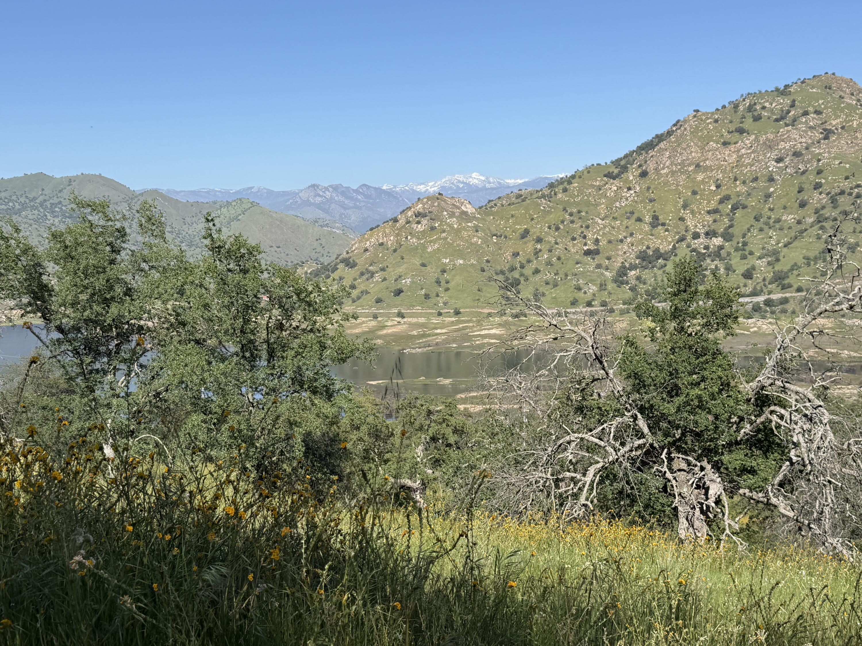 Three Rivers Ca Lemon Cove, CA 93244 - Photo 2 of 6 IMG_0905