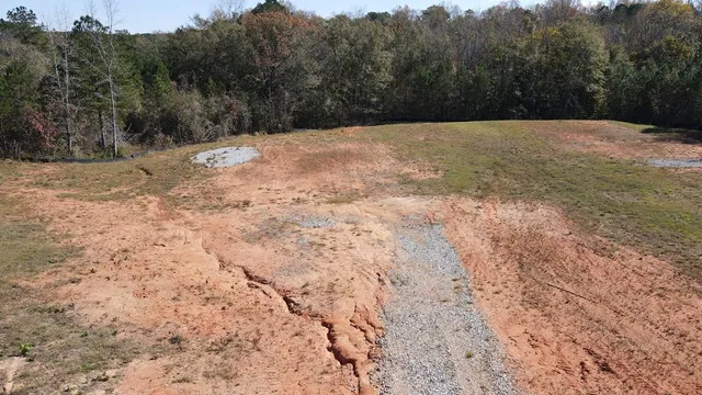 a view of a yard with a tree