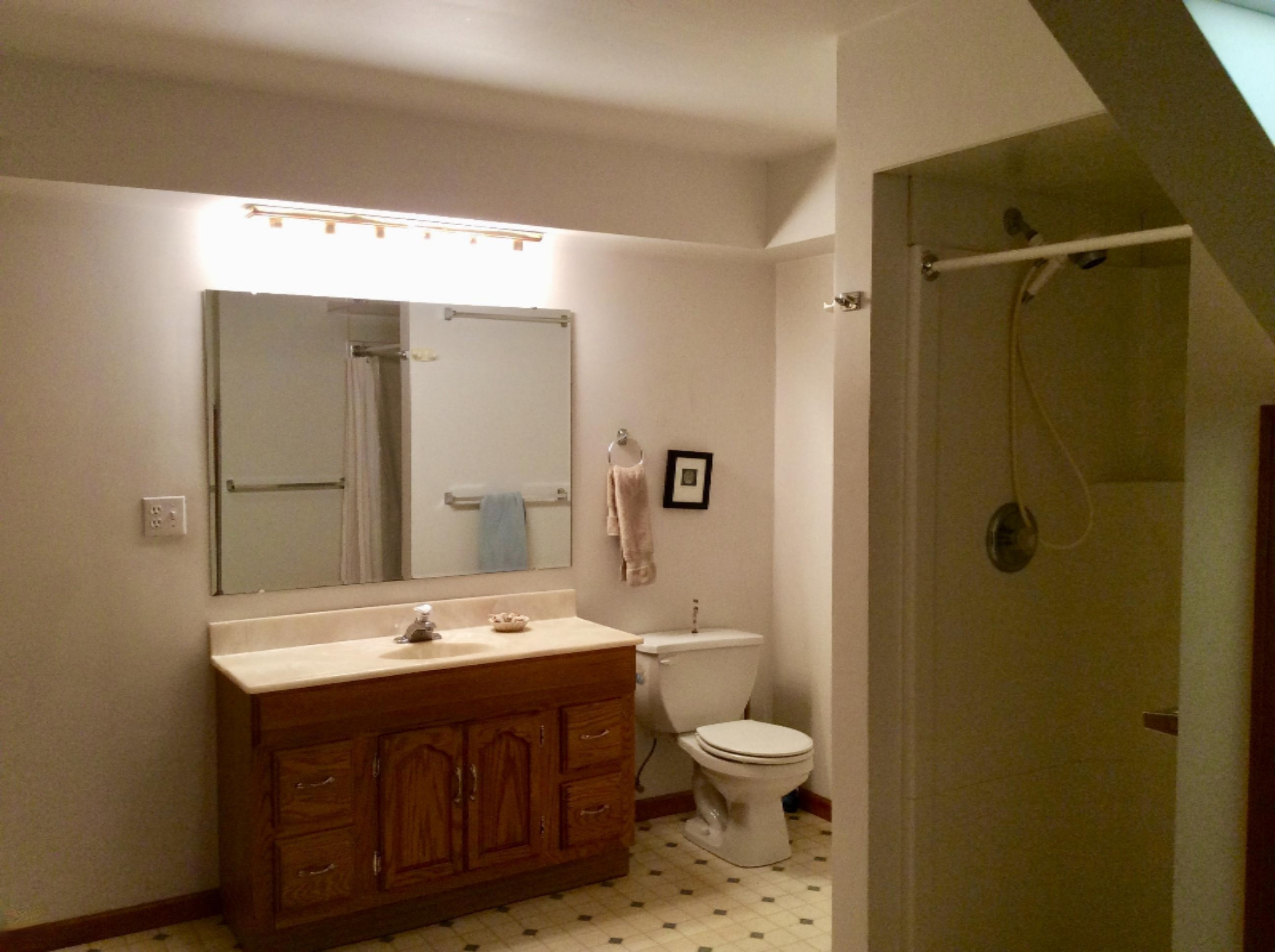 2332 Wildwood Road Manistee, MI 49660 - Photo 34 of 48 Walk Out Level Bathroom