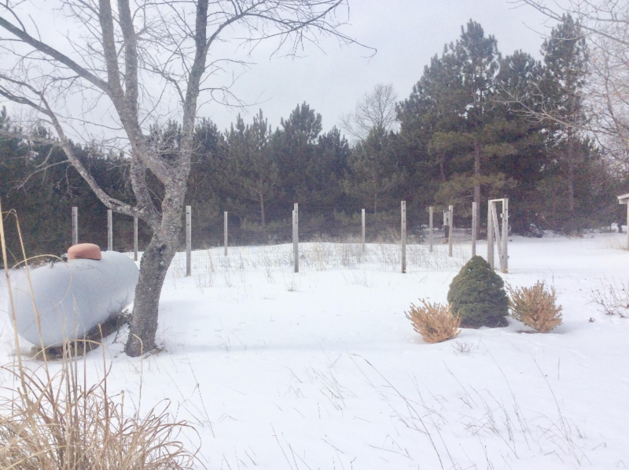 2332 Wildwood Road Manistee, MI 49660 - Photo 48 of 48 Garden Area