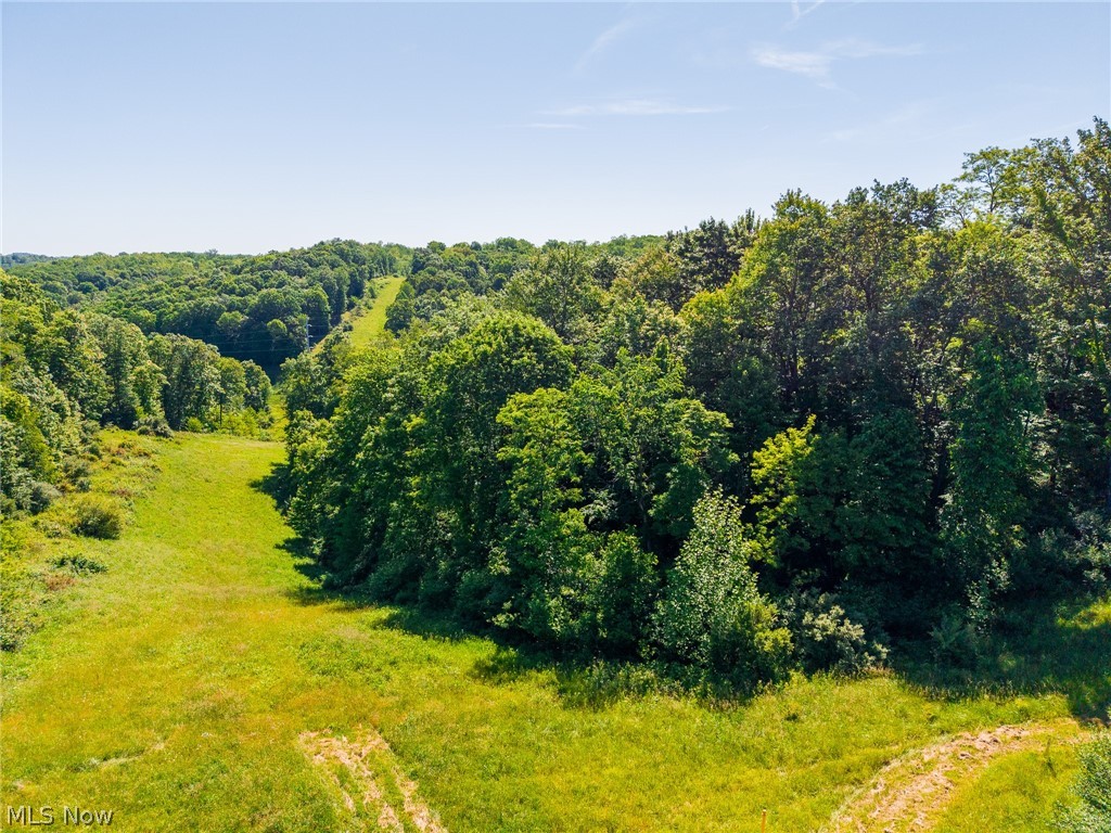 84143 Gilmore Ridge Road Cadiz, OH 43907 - Photo 13 of 32