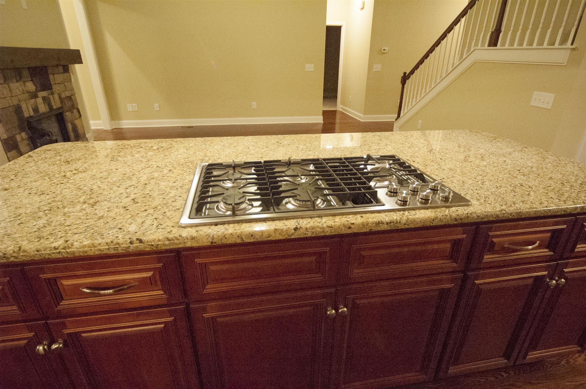 1046 Rudder Drive Spring Hill, TN 37174 - Photo 4 of 18 Gallery Image 4
