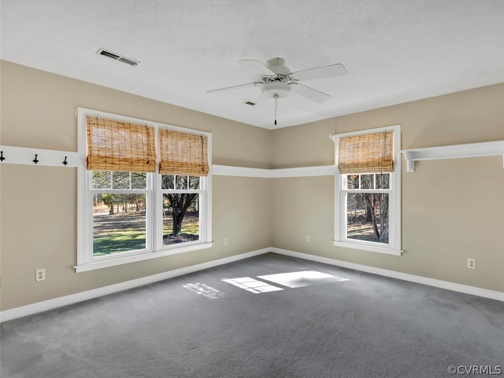 22221 Skinquarter Road Moseley, VA 23120 - Photo 22 of 36 Gallery Image 22